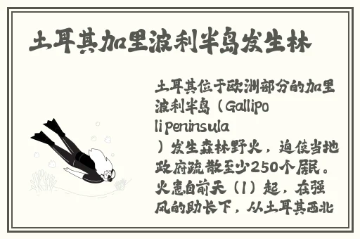 无人区卡一卡二卡三人伦